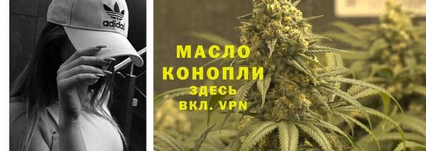 сатива Магас