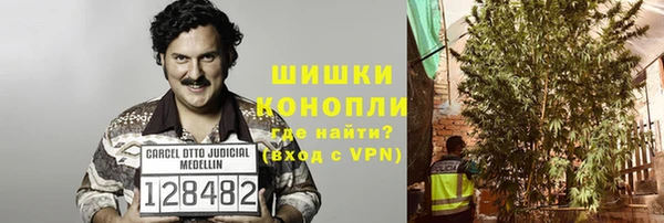 эйфоретик Липки