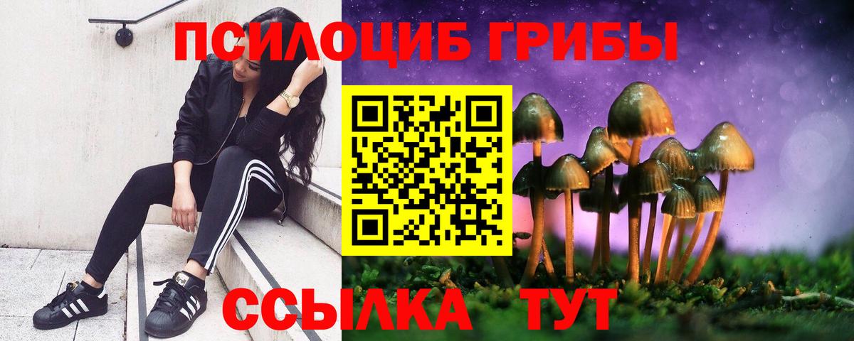 Псилоцибиновые грибы Psilocybe  Вход с VPN  Омск 