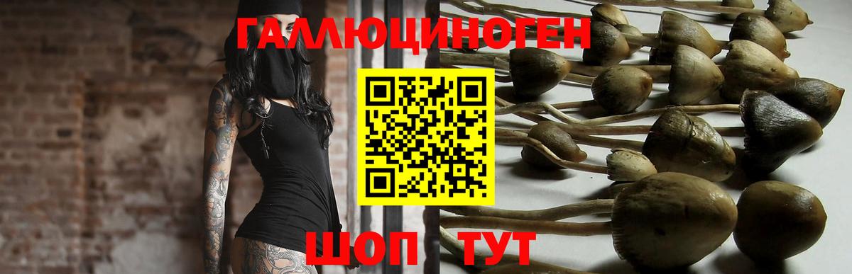 Галлюциногенные грибы мицелий  Омск 